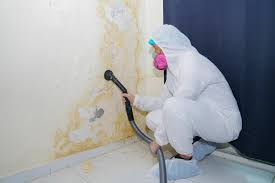 Asbestos and Lead Testing During Mold Inspection in Flora, IN